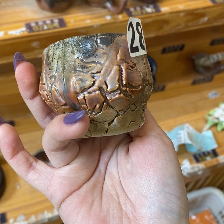 杯柴烧肉等特色菜谱为