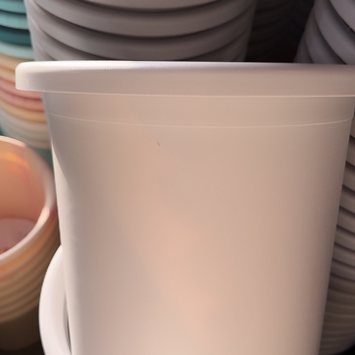 四季7号新灰白无托6个特价微瑕