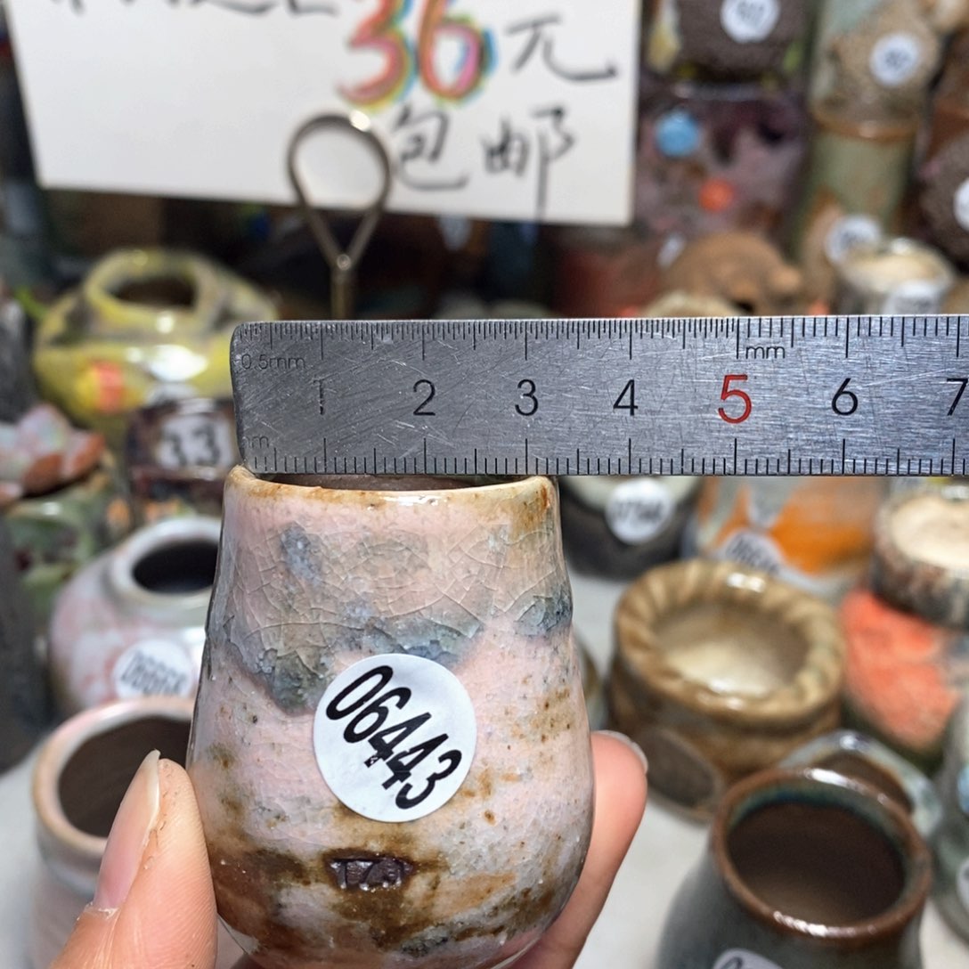 花盆拍5送一个小礼物