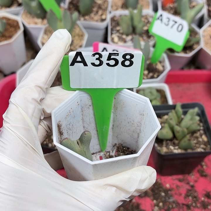 我***了358bnnnnnnnllkkkkkkkkk