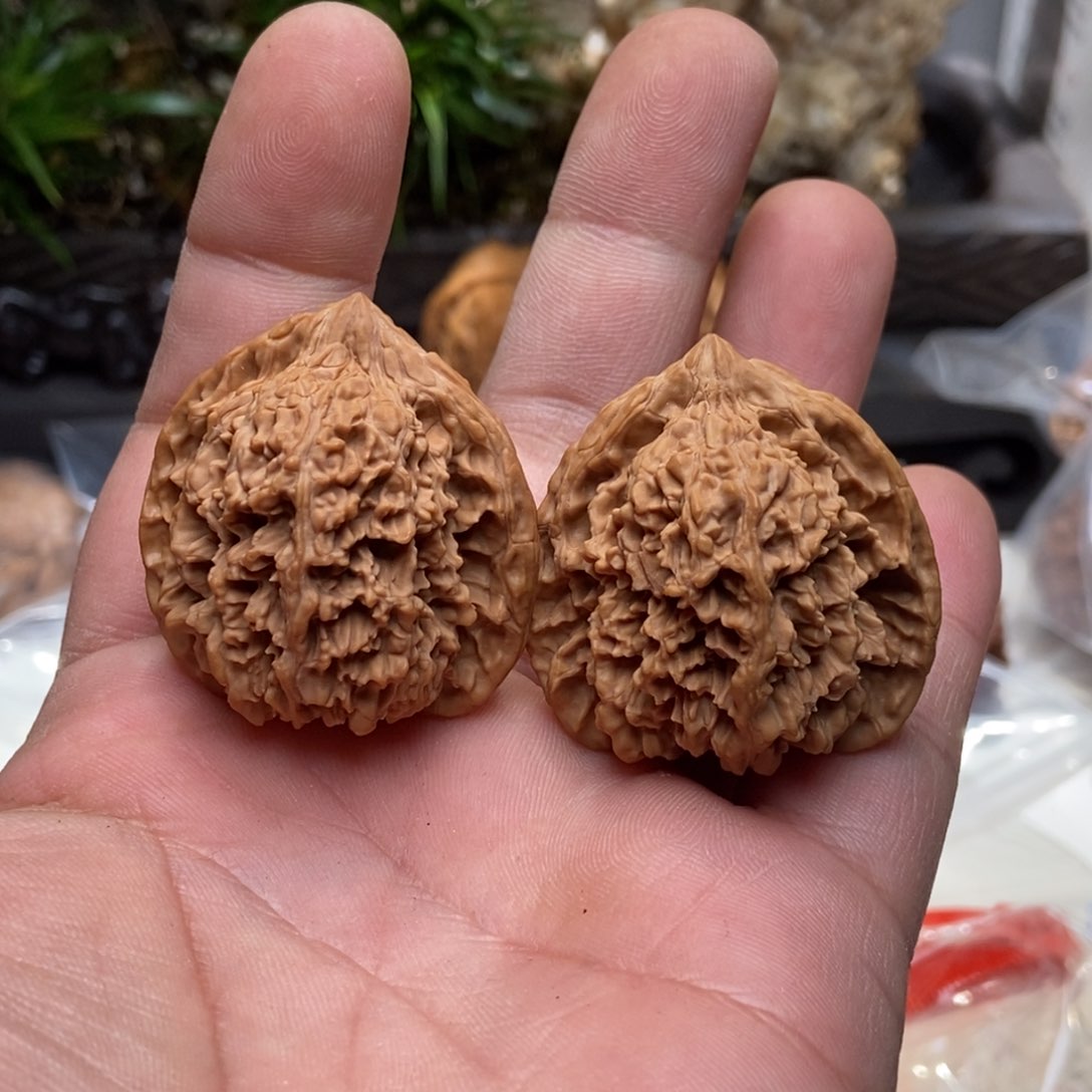 文玩核桃把件满天星36