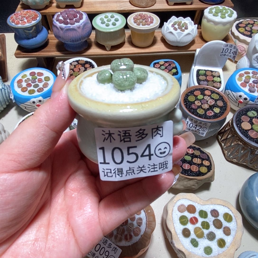 果****?所见即所得 一物一拍1054