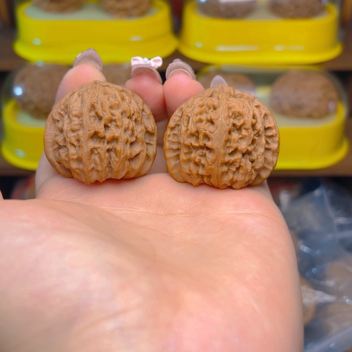 白狮子头三十七尺