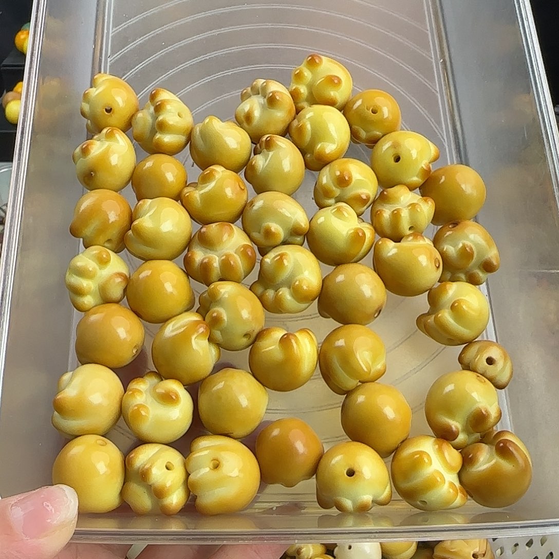 菩提根/象牙果吊坠微瑕牙果炭烤猫爪5颗