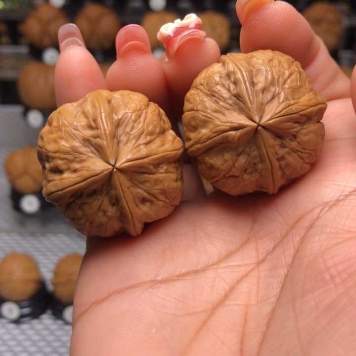 橄榄核吊坠8聚宝四楞