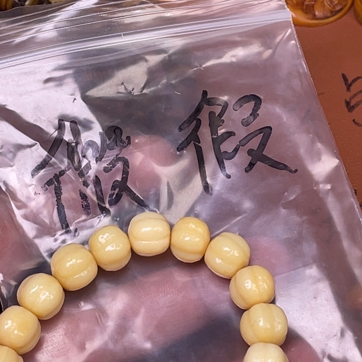 驼骨其他人工养殖