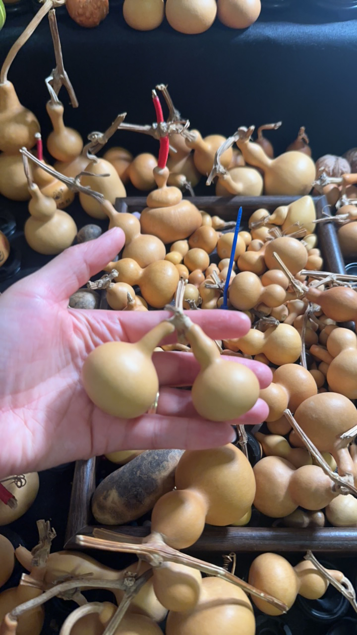 连枝款油锤葫芦 葫芦