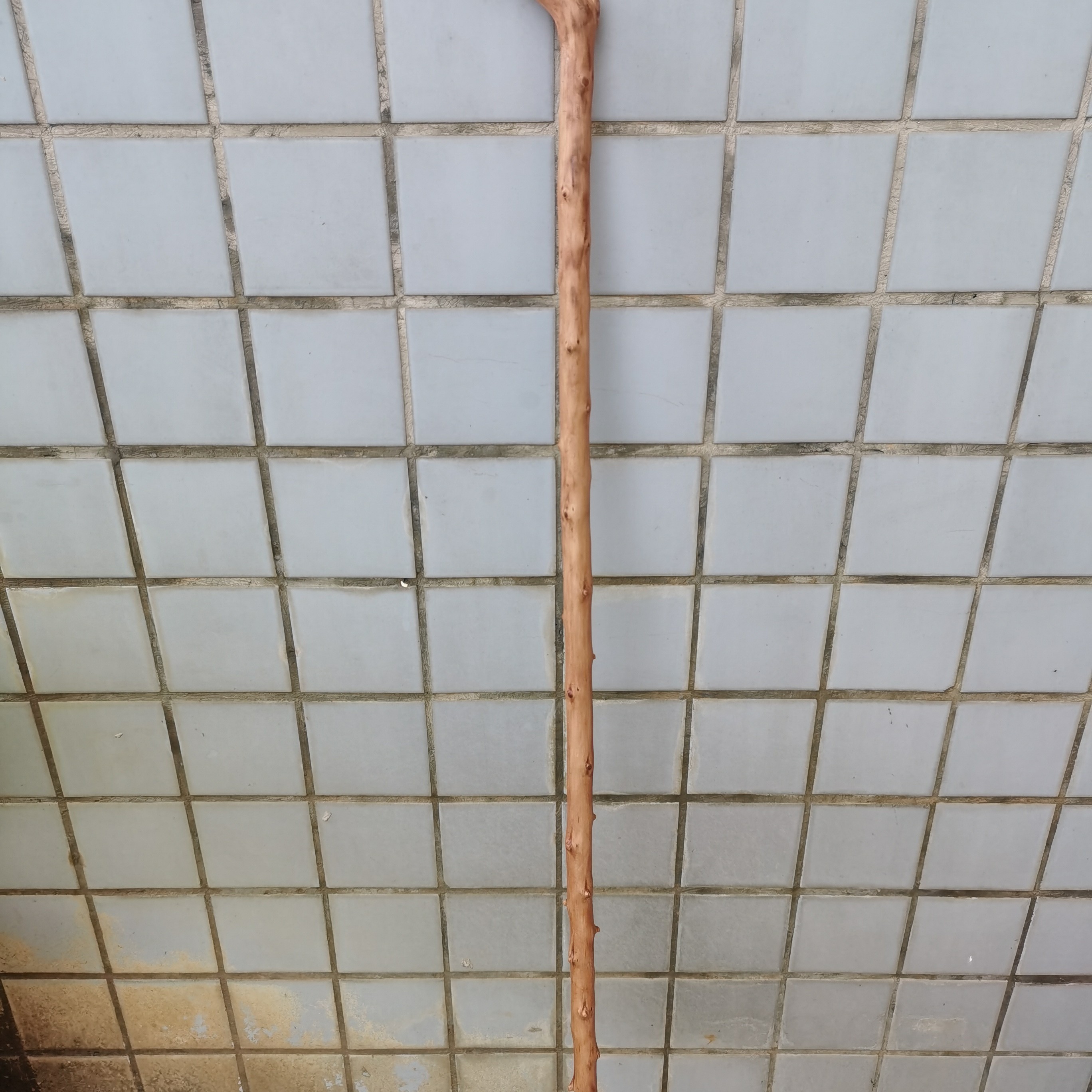 46号纯手工制作红刺刺拐杖