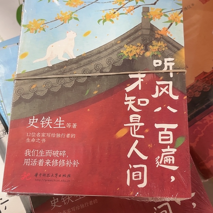 听风八百遍才知是人间