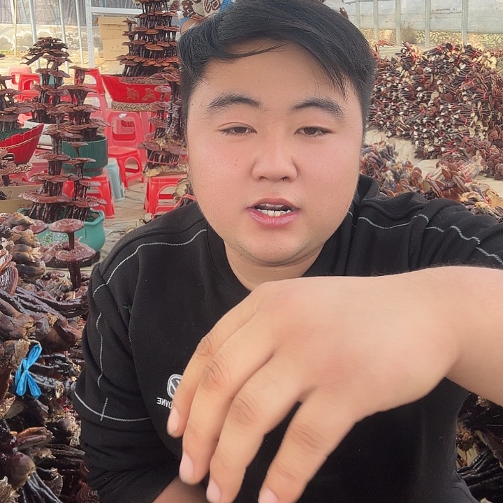 无花朵阿****头灵芝花开了