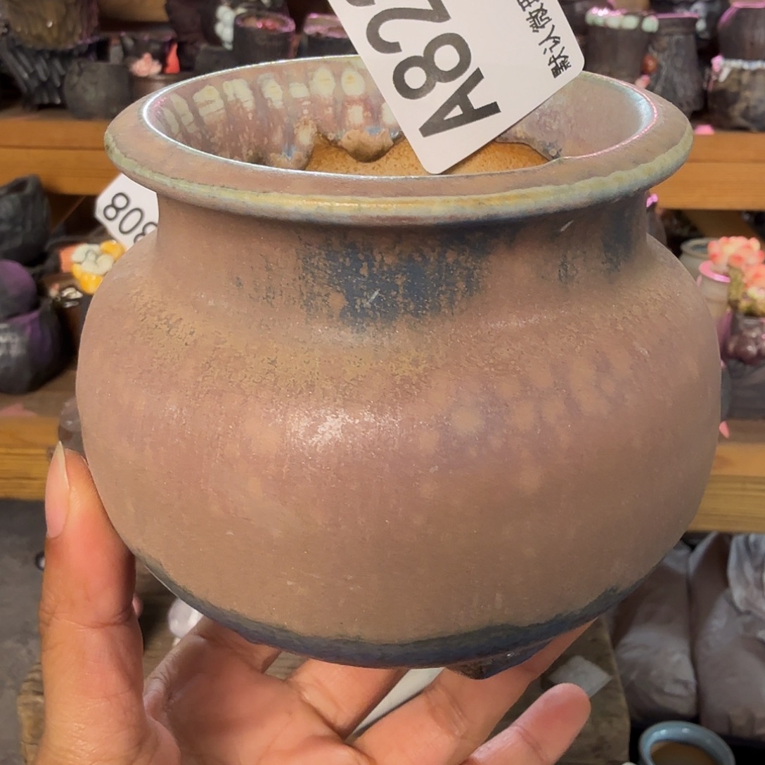 重庆小燕子欢迎大家823