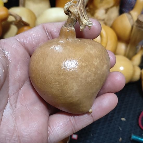 8***9回来哈哈哈哈哈哈哈