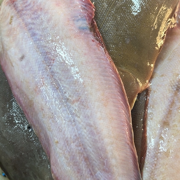 踏目鱼3/5两规格18斤，专拍