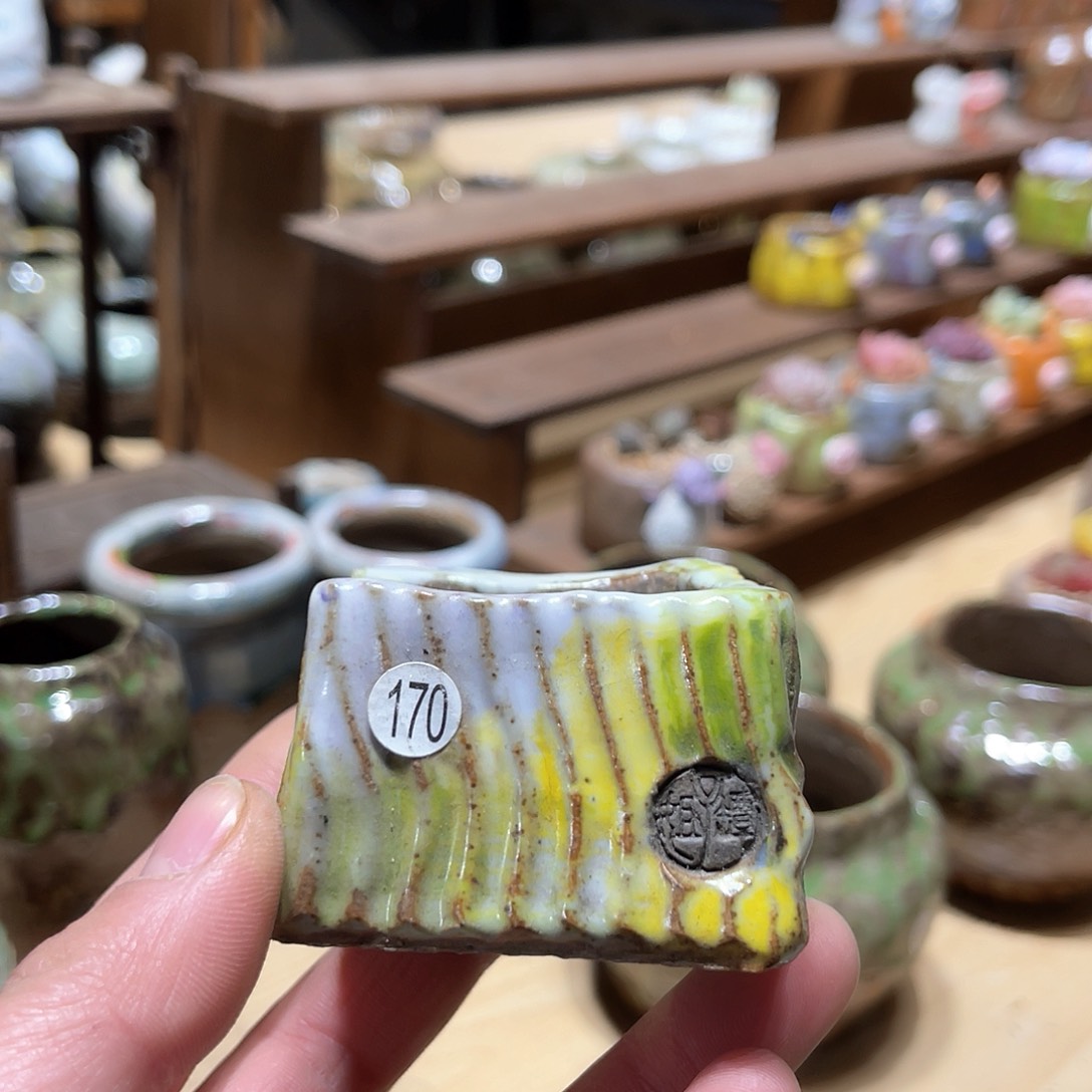 红陶微瑕特价内口4外高3.5