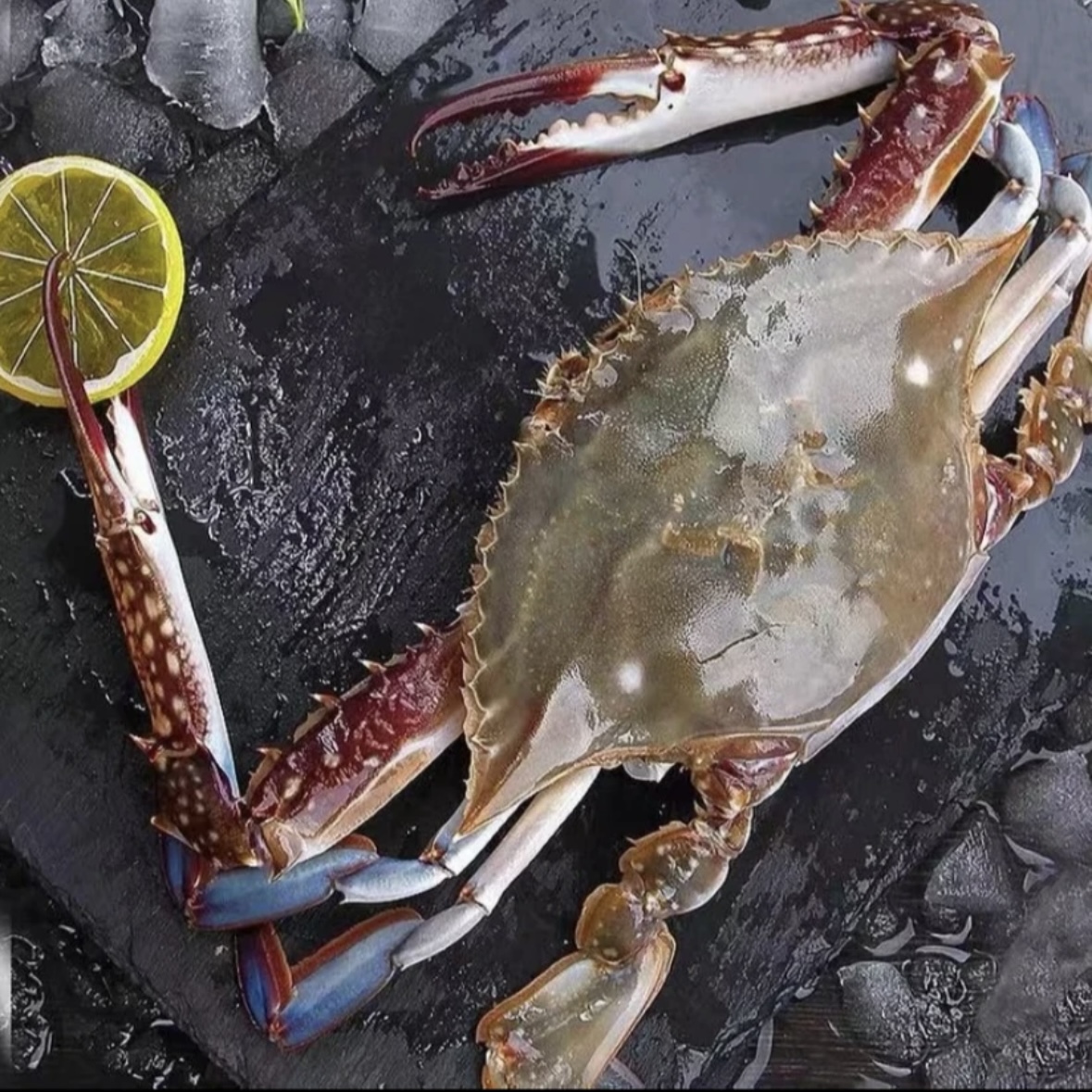 梭子蟹 野生海捕 大公蟹 净重3斤/箱 4-6两/只【冻蟹】舟山冷链发货