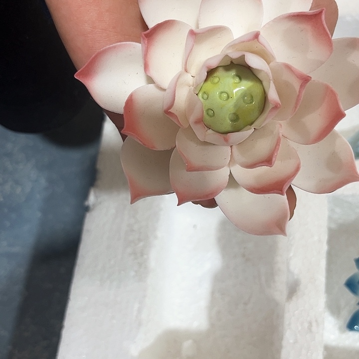 微瑕，不退换，退换拉黑