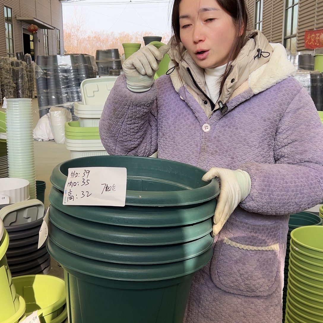 青山盆7#墨绿5个无托