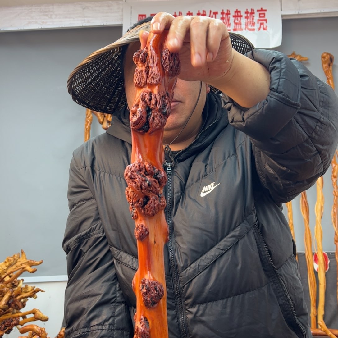 黑果木其他红***人黑果木395