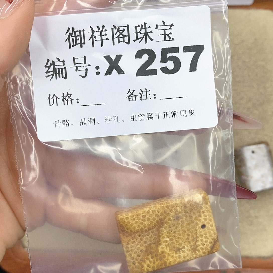 硅化珊瑚（珊瑚玉）颈饰未镶嵌郝*子