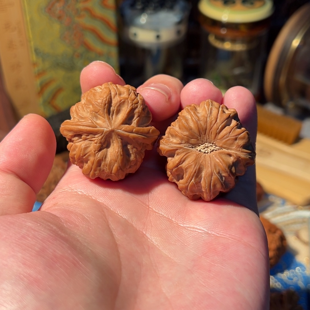 文玩核桃把件全品鬼龙36