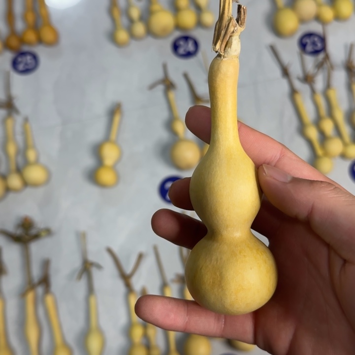 哈***哈精品八宝杆子周正