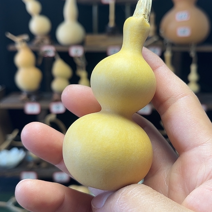 往*舟啦咯啦咯啦咯啦咯啦