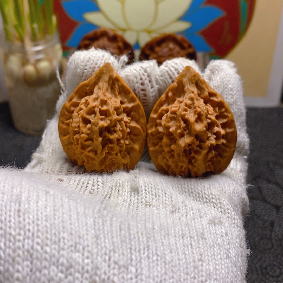 核桃观音鸡心边36肚36高45