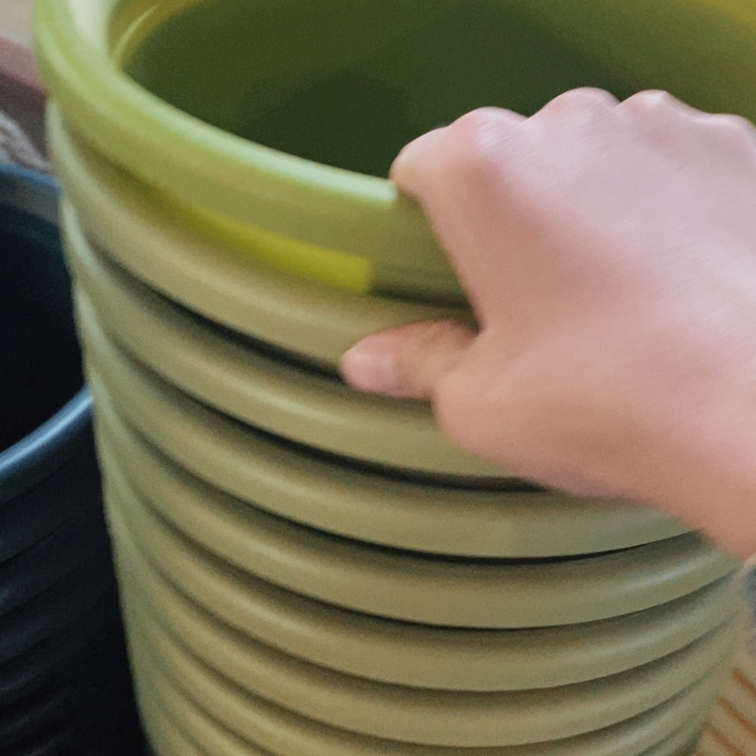 果绿色6号不积水