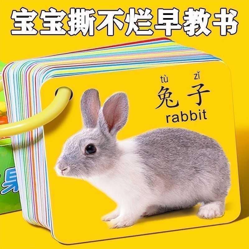 儿童早教书撕不烂早教卡0-6岁宝宝益智早教认知卡儿童启蒙认知卡