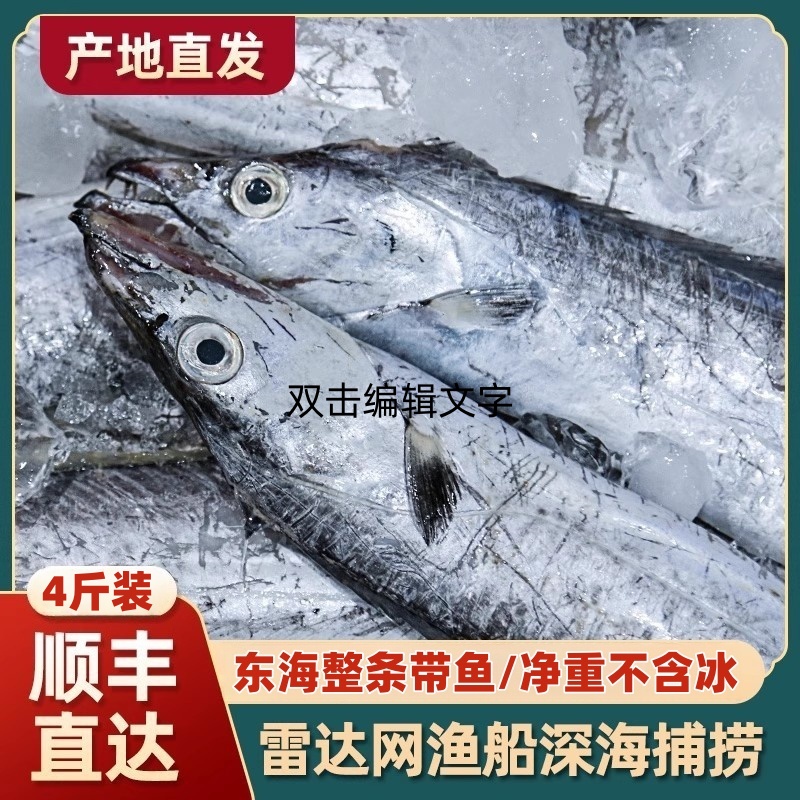 【单条5-6两】 6斤净重 东海纯野生海捕小眼油带鱼 到手10-12条带鱼