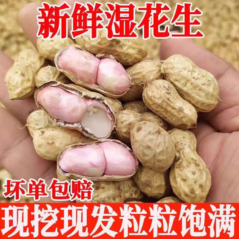 【顺丰包邮】2025新鲜现挖今年新出带泥湿花生红衣粉皮嫩鲜花生新货
