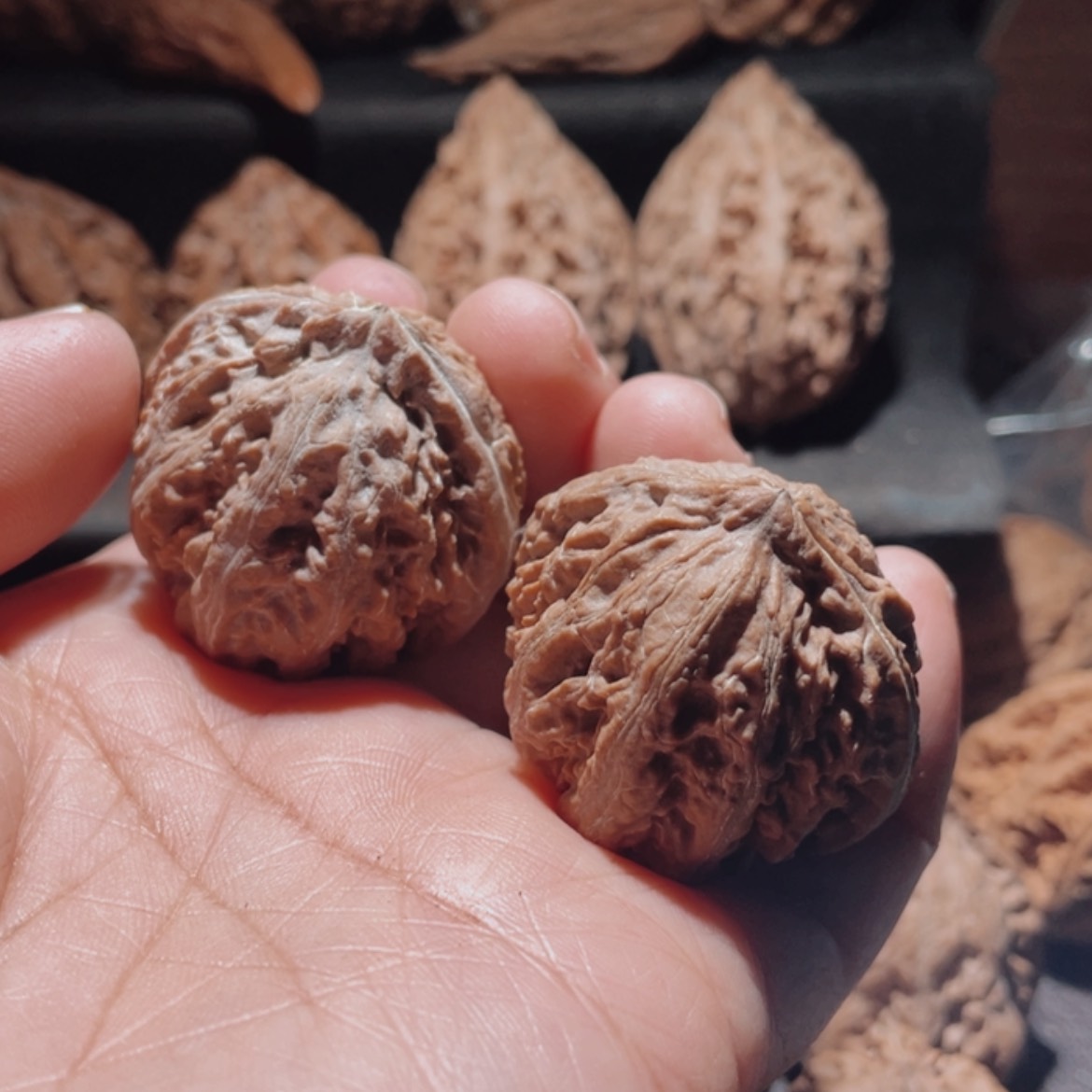 【闪购商品】文玩核桃把件帆东北楸子10