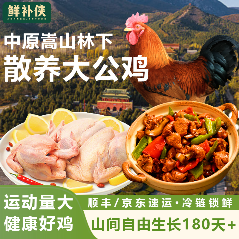 鲜补侠大公鸡土鸡农家散养走地鸡小公鸡柴鸡肉新鲜现杀笨草鸡整只