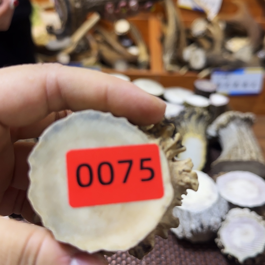 鹿骨手串/手链角帽0075