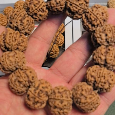 小***学金刚菩提手串六瓣大金刚手串，原皮原色的，精挑细选