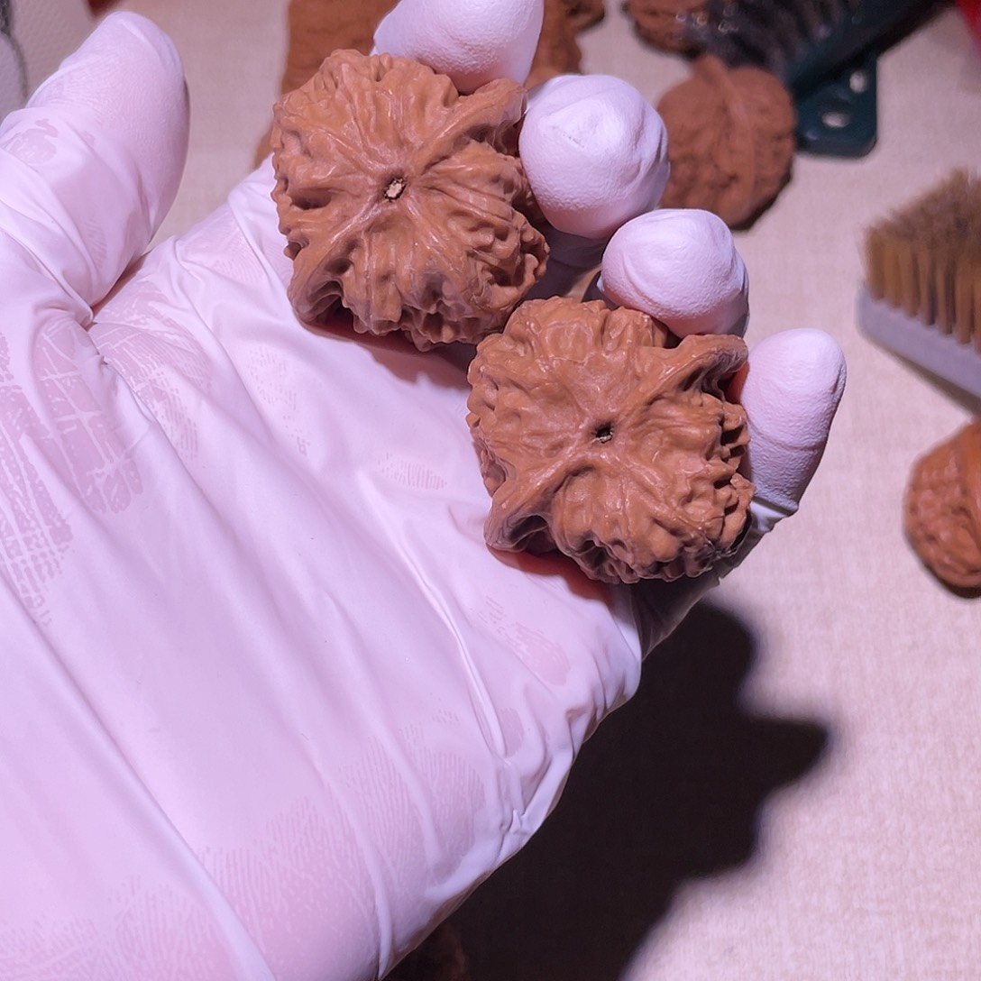 【闪购商品】37野狼