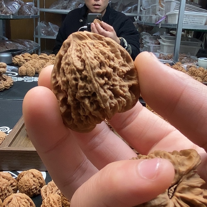 T***）大叶紫檀（黑酸枝木类）天残脚