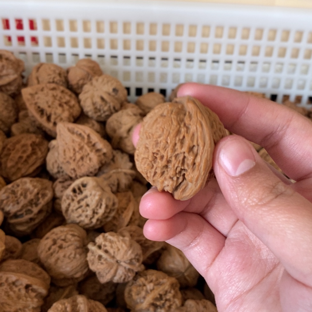 寻***乐文玩核桃吊坠文玩