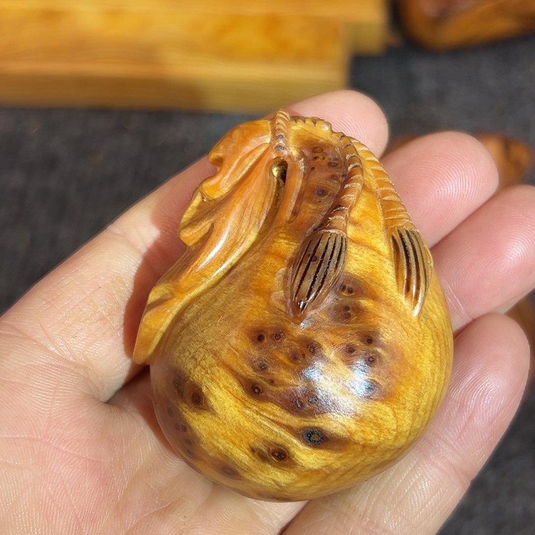 龙***景崖柏太行崖柏独根黑金刚瘤花钱袋