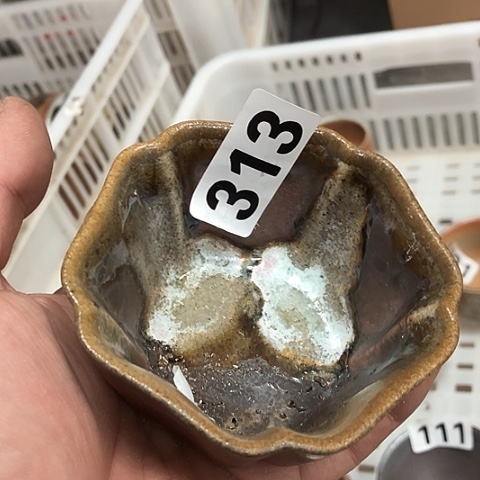  在这里的时候就是不一样