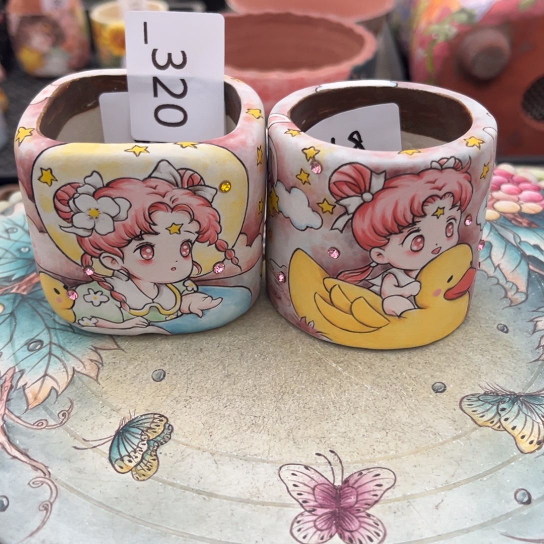 今***E320多肉花盆   2个