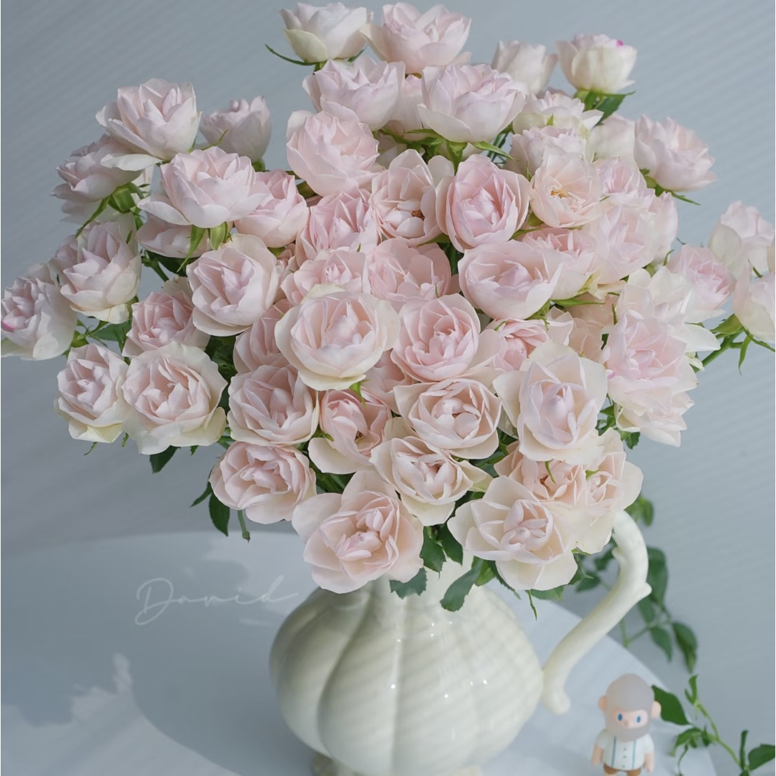 两件包邮！莲花玫瑰10支（20%以内不售后）