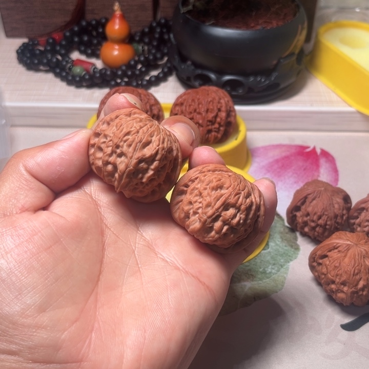 福***海磨盘磨盘磨盘磨盘磨盘