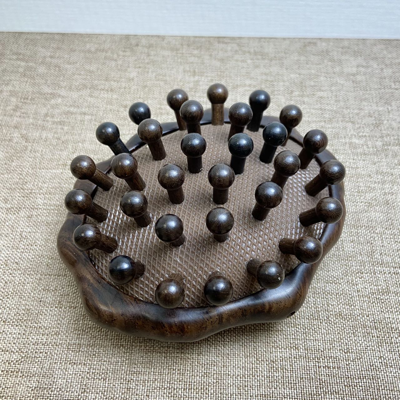 黑檀S206-8-31 黑檀灯泡齿 贝壳