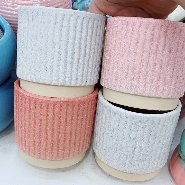 多肉植物陶瓷花盆