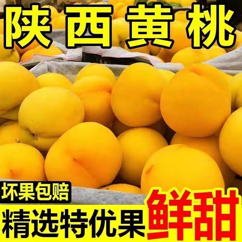 【脆甜】正宗陕西大黄桃黄金蜜黄桃