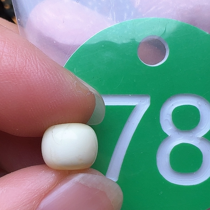 蜜蜡裸石未镶嵌花粉8.2m m