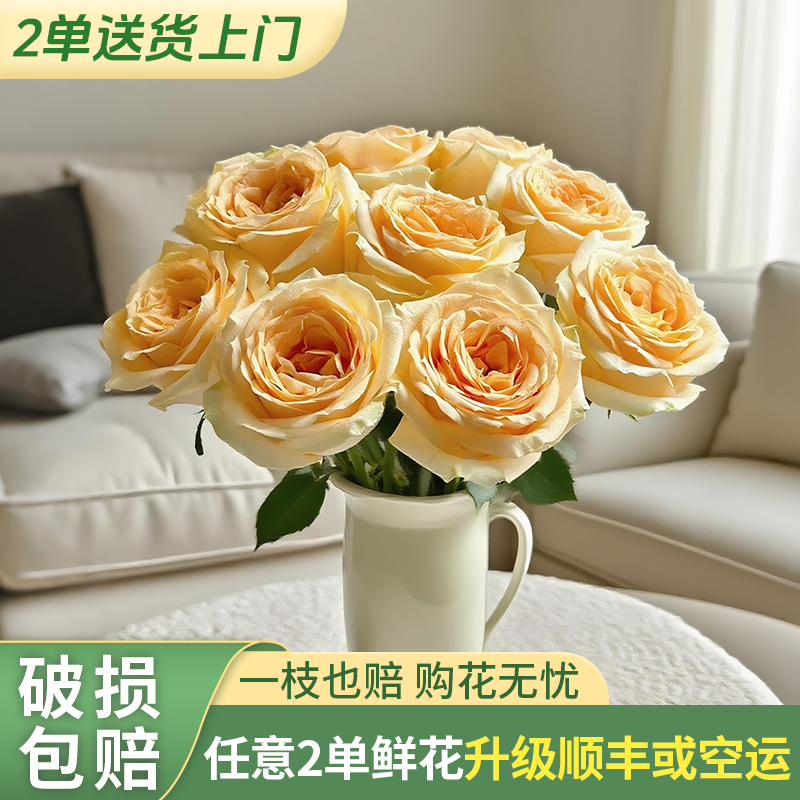 【源头优选老六】蜜桃雪山单头玫瑰/元旦预热 任意两单鲜花升级快递