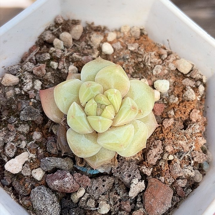 一物一拍满十元包邮发货