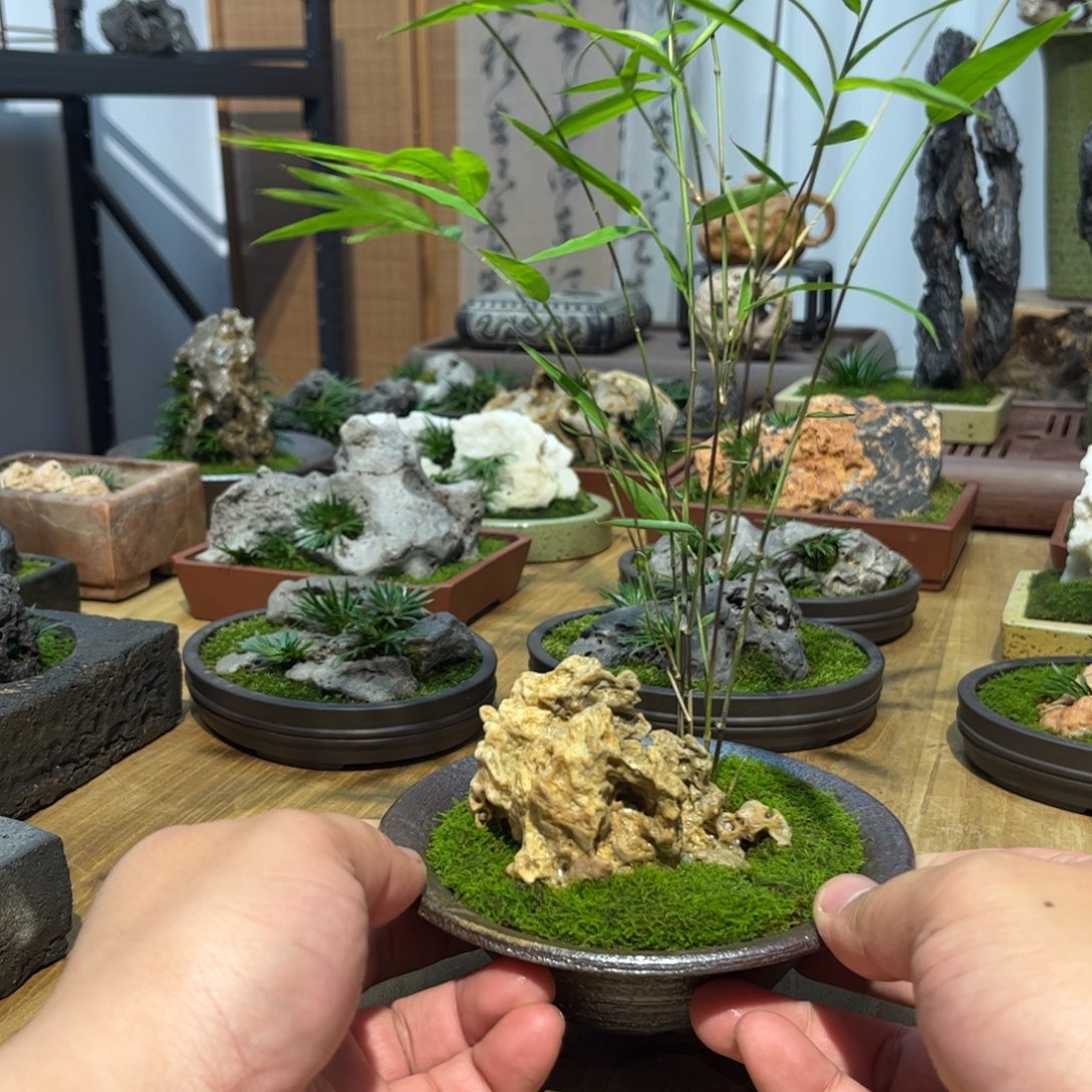 素***苑紫砂花盆➕附石竹子